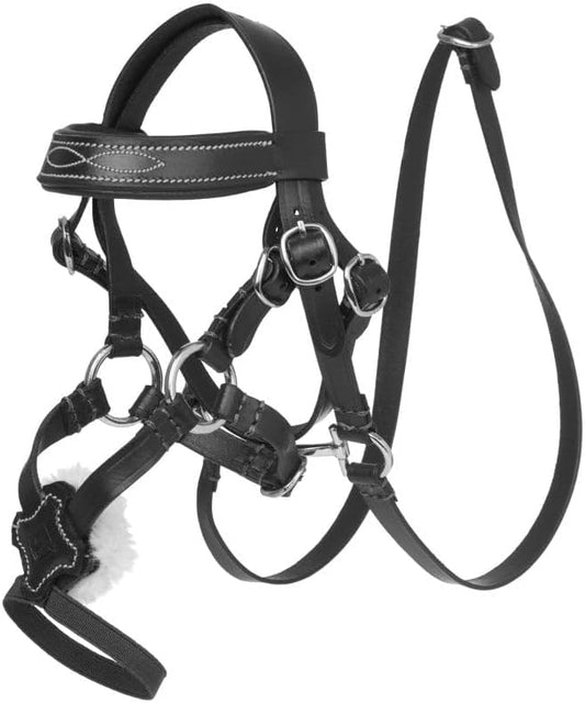 LeMieux Mini Toy Pony Grackle Bridle