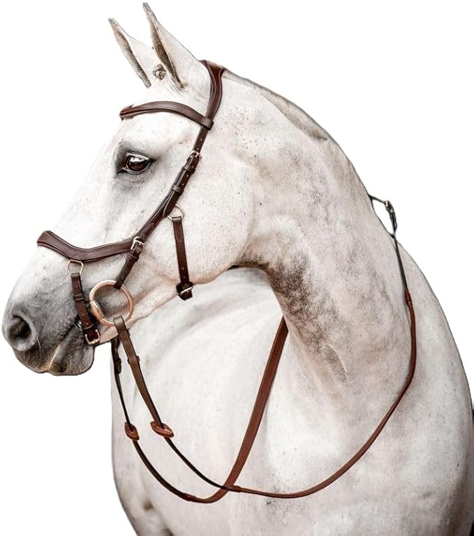 Pressure Relief Comfort Ergonomic Horse Bridle Havana Brown | Ergonomic | Comfortable | Durable (Bridle + Leather Reins, Full/Horse)