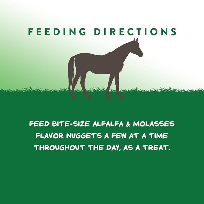 Manna Pro Bite-Size Nuggets Horse Treats, Pocket-Size Training & Reward Treats with Vitamins & Minerals, Alfalfa & Molasses Flavor, 1 lb (Pack of 2)
