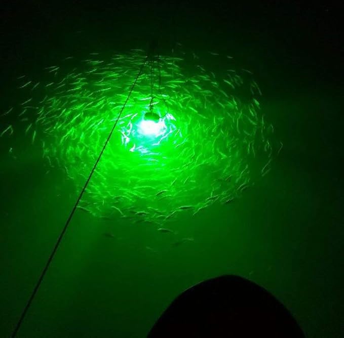 12V 14W 180 LED 1300ルーメン LED水中集魚灯 魚群探知ランプ 5mコード付き