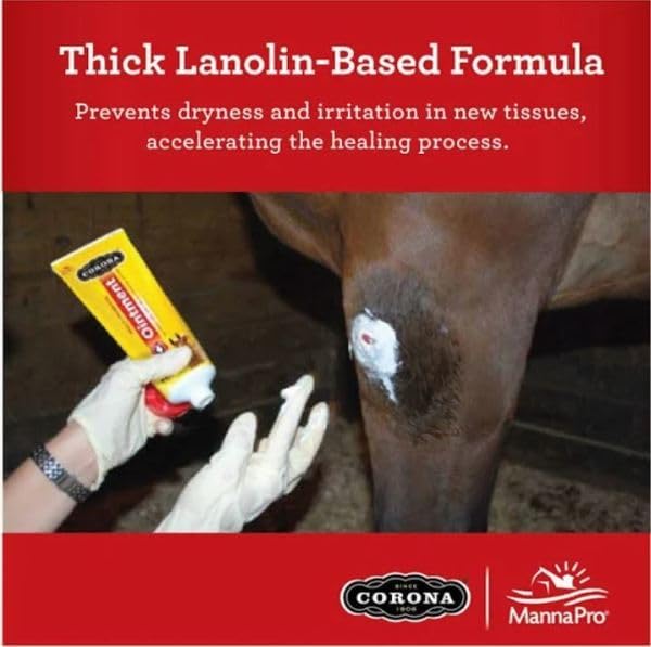 Corona Ointment for Horses|Lanolin Based Formula Helps Sooth Irritation|7 Ounces