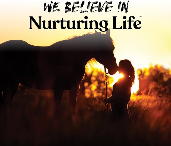 Manna Pro Bite-Size Nuggets for Horses, Pocket Sized Training Horse Treats, Apple Flavored Treats, Packs with Vitamins & Minerals, Great Taste Guaranteed, 4 lbs (Pack of 2)