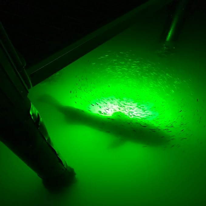 Underwater Fish Light 175W Natural Green Dock Light – Professional Fish Attractor System with Automatic Night Sensor – Marine Grade Submersible Light for Salt & Fresh Water Docks