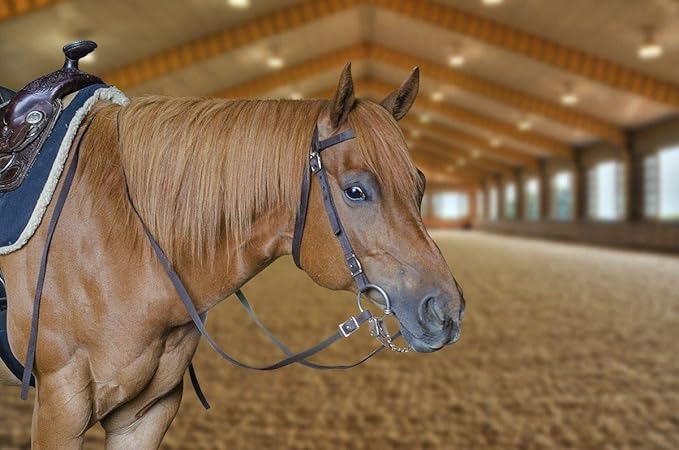 Tahoe Tack Plain Double Layer Nylon Headstall with Reins