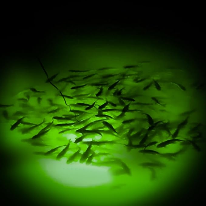 ReeMoo 12V 126 LEDs 13W Fishing Light Underwater Night Fishing Lure Finder Light Green Submersible Fishing Lights with 5M Power Cord for Pool Boat Sea Ice Fishing Attractants More Fish