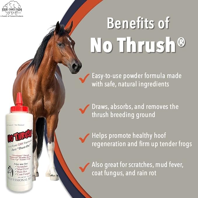 Four Oaks Farm Ventures, No Thrush Dry Powder Treatment for Horses - Wound Care, Scratches, Rain Rot, Mud Fever, Coat Fungus - All Natural Ingredients, Non-caustic, Easy to Use Powder Formula (10 oz)