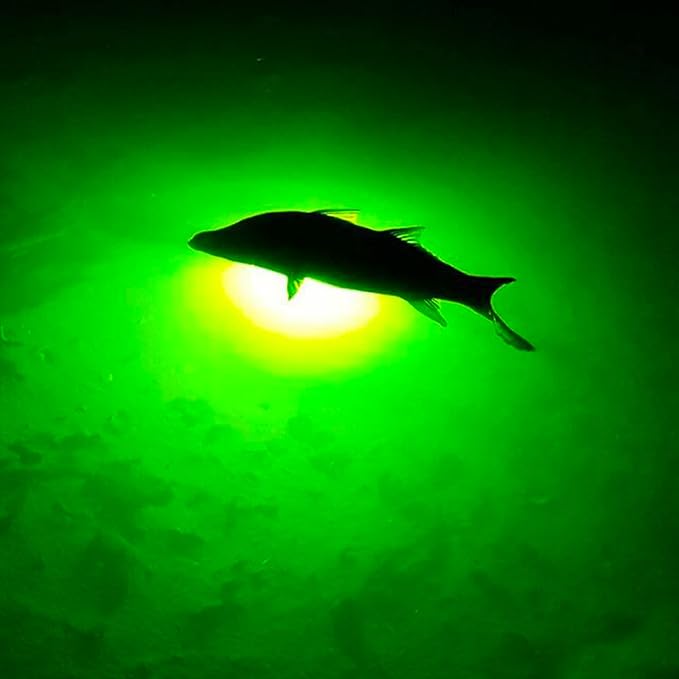 Underwater Fish Light 175W Natural Green Dock Light – Professional Fish Attractor System with Automatic Night Sensor – Marine Grade Submersible Light for Salt & Fresh Water Docks