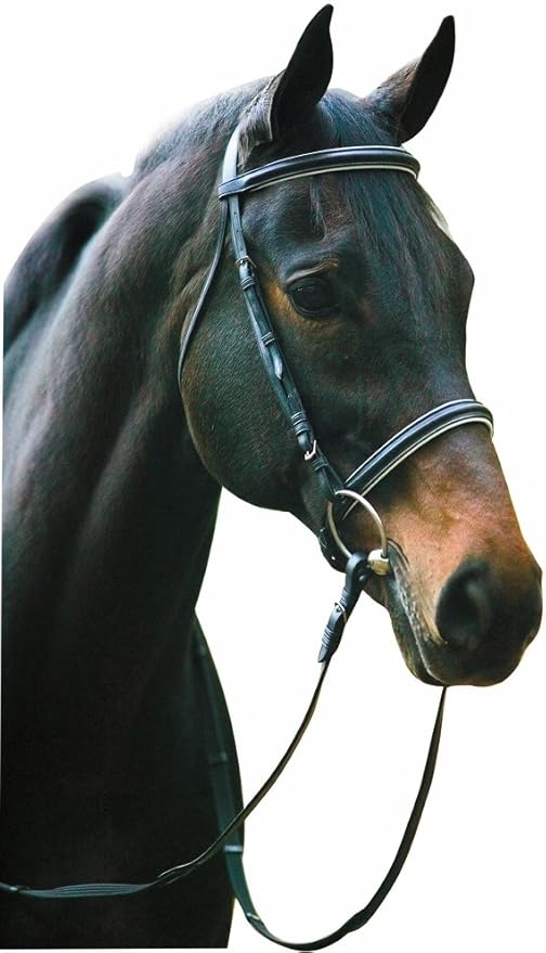 Henri de Rivel Pro Padded Dressage Bridle with Web Reins