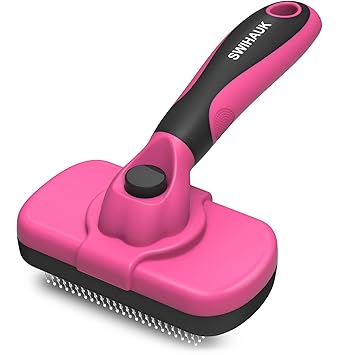 https://m.media-amazon.com/images/I/617mwkJ6s3L._SY355_.jpg
