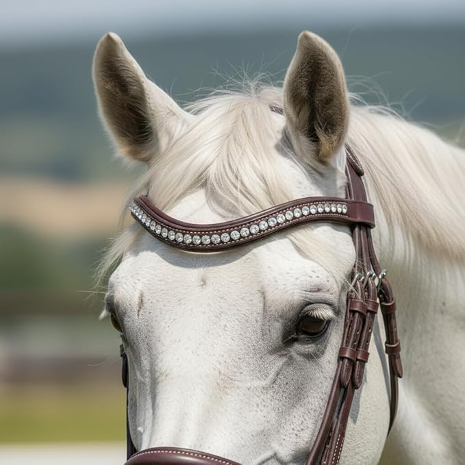 Equine Care Leather English Horse Bridle with Reins, Full Size, Choice of Browband Style, Padded Crown & Cavesson Noseband, Stainless Steel Hardware, Hunter Show Bridle.