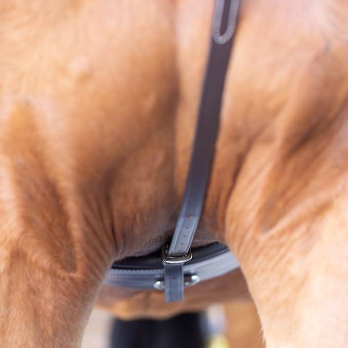 Equinavia Saga Adjustable Leather Standing Martingale with Stainless Steel Hardware (Stopper Not Included)