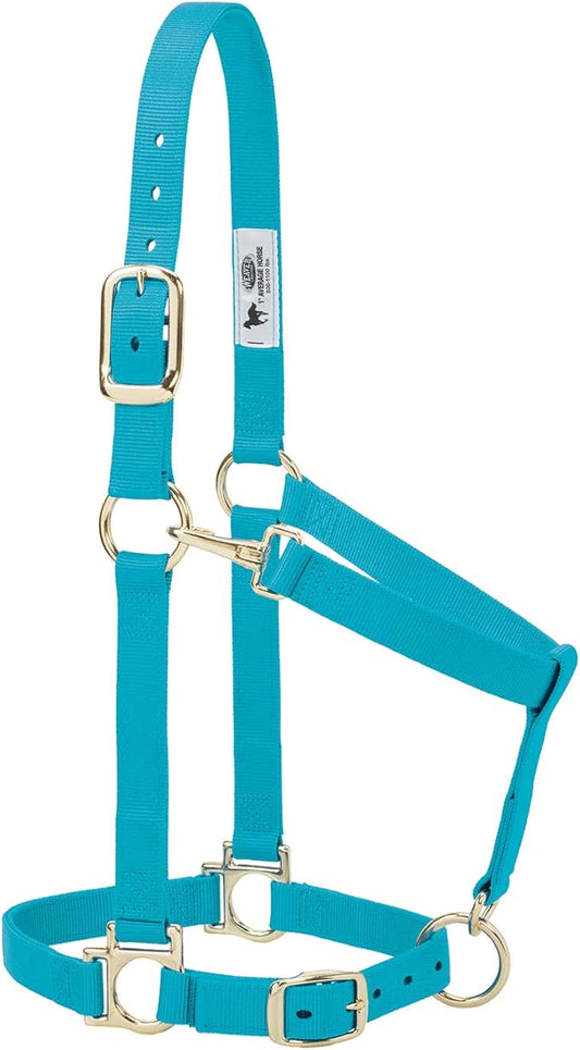 Weaver Leather Nylon Horse Halter, Padded and Adjustable, Chin and Throat Snap Hook Halters for Horses, Brass Plated Halters for Training