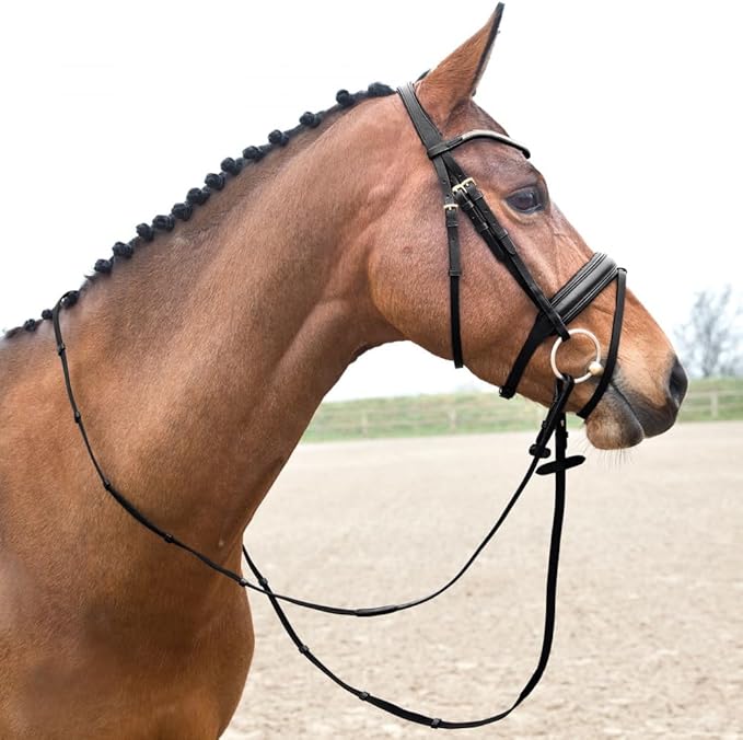 HORZE Lester Dressage Snaffle Bridle w/Reins