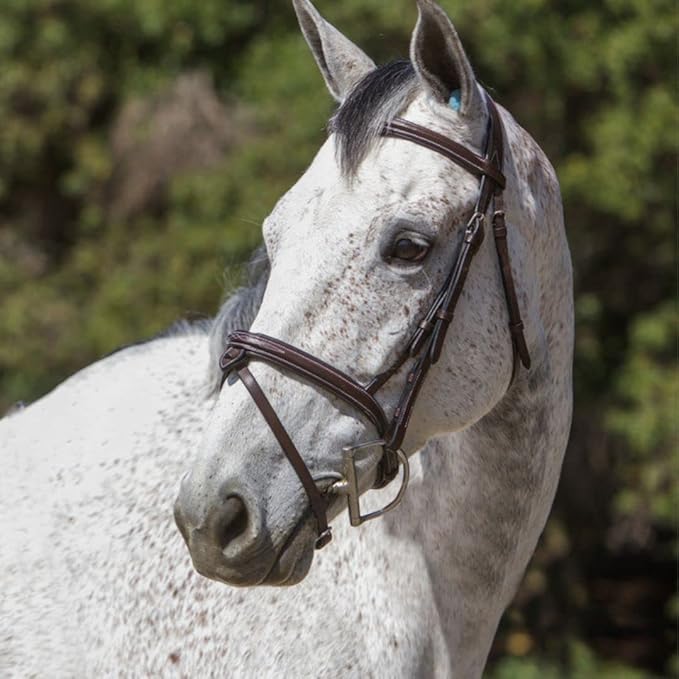 Exion Anatomical Snaffle Jumping Bridle for Horses with Removable Flash Noseband & Rubber Reins – Premium Vegetable-Tanned Leather, SS Buckles, Padded MonoCrown, Designer Stitching