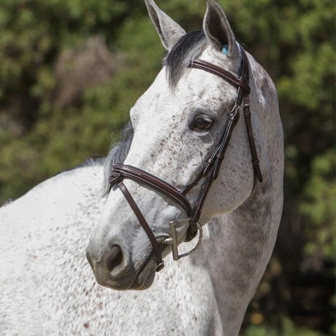 Exion Anatomical Snaffle Jumping Bridle for Horses with Removable Flash Noseband & Rubber Reins – Premium Vegetable-Tanned Leather, SS Buckles, Padded MonoCrown, Designer Stitching