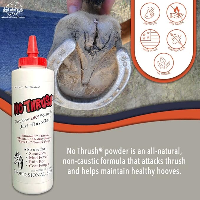 Four Oaks Farm Ventures, No Thrush Dry Powder Treatment for Horses - Wound Care, Scratches, Rain Rot, Mud Fever, Coat Fungus - All Natural Ingredients, Non-caustic, Easy to Use Powder Formula (10 oz)