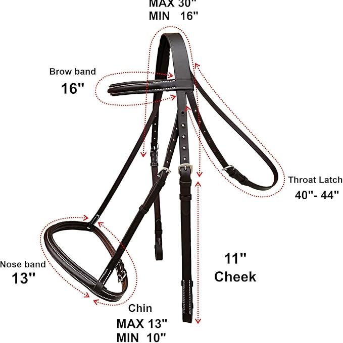 Majestic Ally Padded Raised English Bridle, Premium Leather, Matching Laced Reins