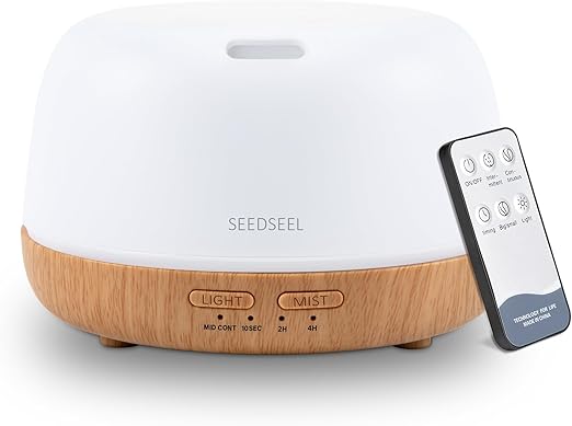 https://m.media-amazon.com/images/I/61IybDoty+L._AC_SX522_.jpg