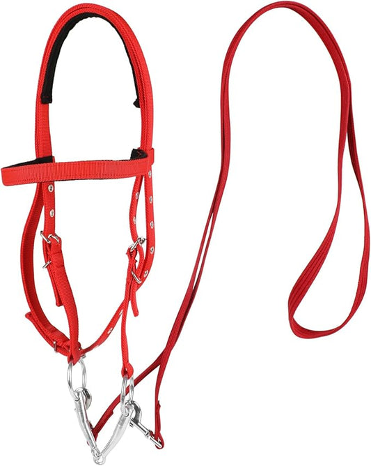 Adjustable Horse Bridle with Stainless Steel Bit - Equestrian Bridles and Horse Headstall (Red, S)