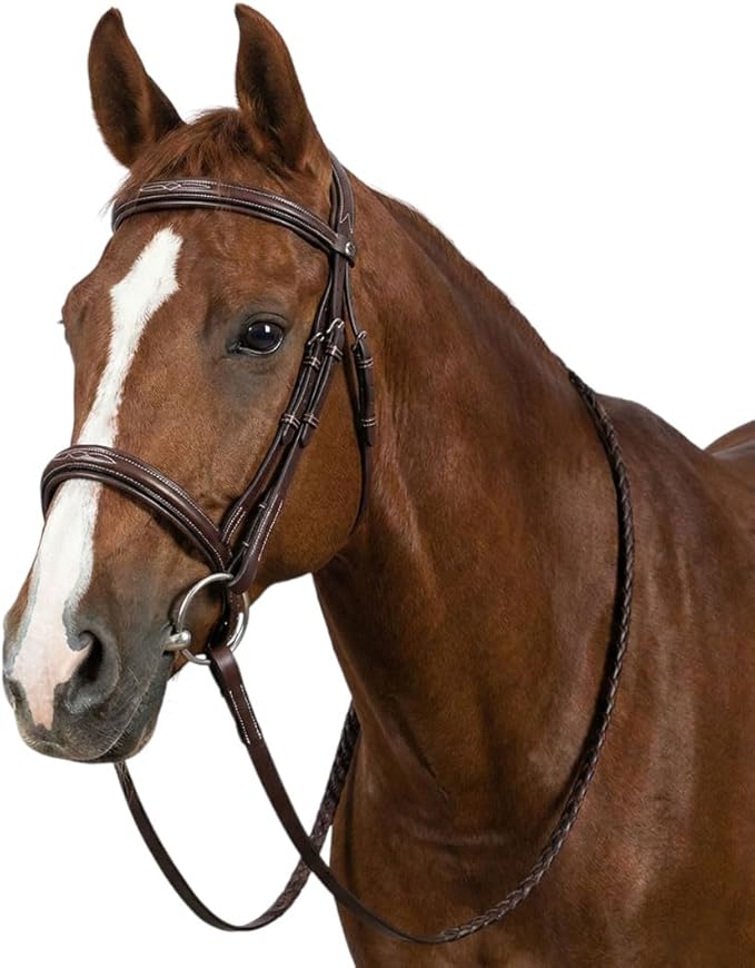 Henri de Rivel Pro Mono Crown Fancy Bridle with Patent Leather Piping and Laced Reins