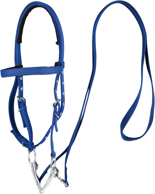 Adjustable Horse Bridle with Stainless Steel Bit - Equestrian Bridles and Horse Headstall（Blue, S