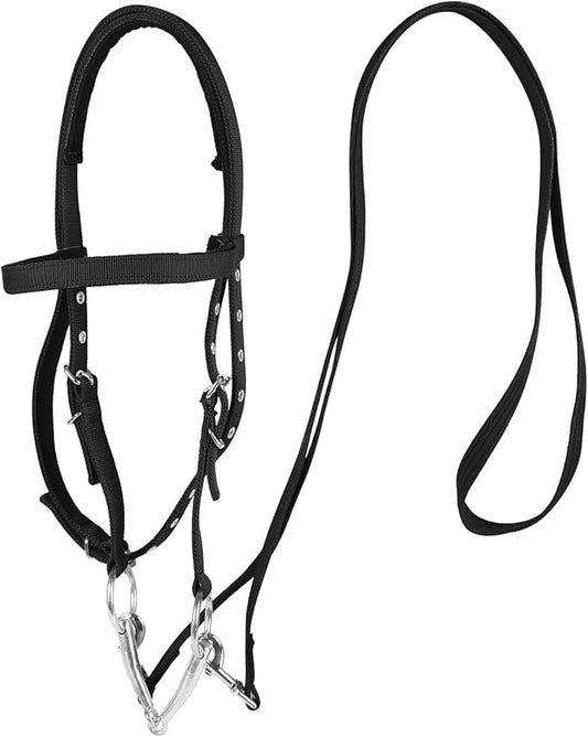 Adjustable Horse Bridle with Stainless Steel Bit, Black Nylon Headstall with Reins, Non-Slip Design