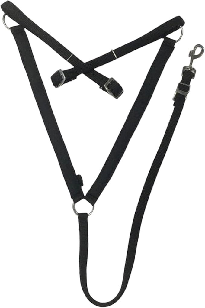 Majestic Ally Nylon Padded Equestrian Browband Headstall, Reins & BreastCollar Set for Horse- Full