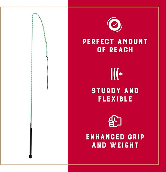 Weaver Equine 50" Stock Whip Horse Training Whip With Comfort Grip Rubber Handle, Horse Control, Show Ring Competition Accessory, ‎Green/White