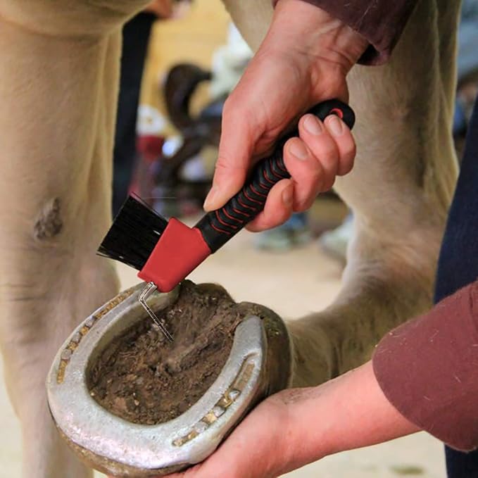 BOTH WINNERS 4Pcs Horse Hoof Pick Brushes, with Soft Touch Rubber Handle