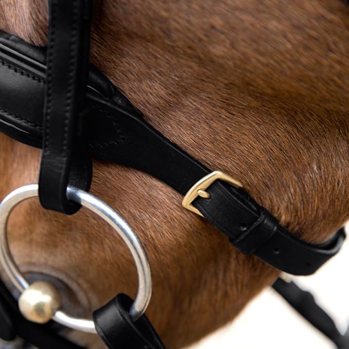 HORZE Lester Dressage Snaffle Bridle w/Reins