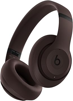 https://m.media-amazon.com/images/I/61SNDXZcmTL._AC_SY355_.jpg