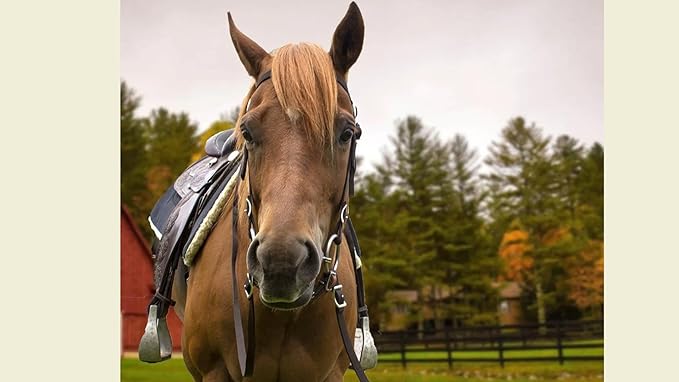 Tahoe Tack Plain Double Layer Nylon Headstall with Reins