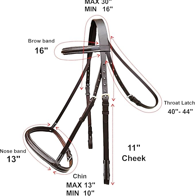 Majestic Ally Padded Raised English Bridle, Premium Leather, Matching Laced Reins