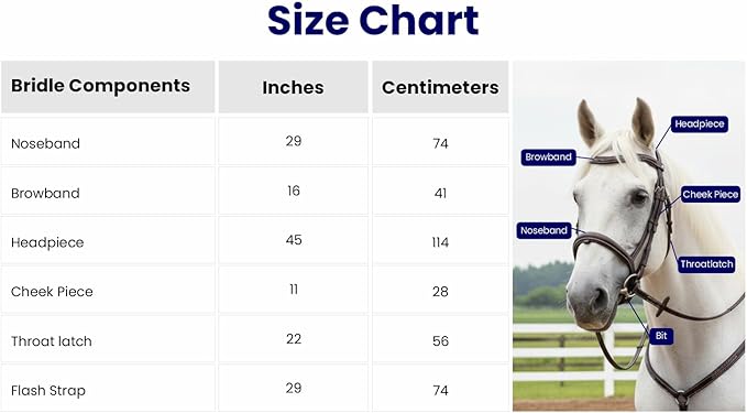 Equine Care Leather English Horse Bridle with Reins, Full Size, Choice of Browband Style, Padded Crown & Cavesson Noseband, Stainless Steel Hardware, Hunter Show Bridle.