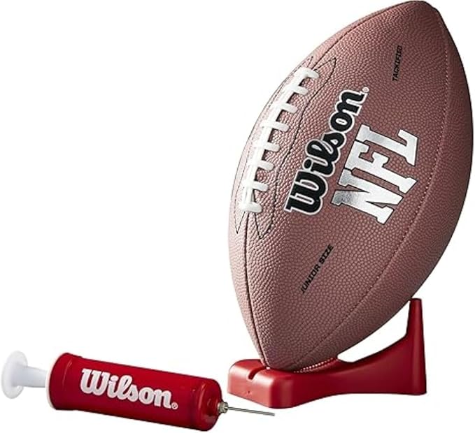 WILSON NFL Recreational Footballs