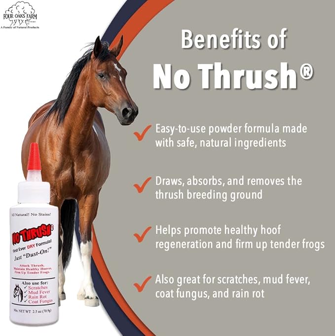 Four Oaks Farm Ventures, No Thrush Dry Powder Treatment for Horses - Wound Care, Scratches, Rain Rot, Mud Fever, Coat Issues - All Natural Ingredients, Non-caustic, Easy to Use Powder Formula (2.5 oz)