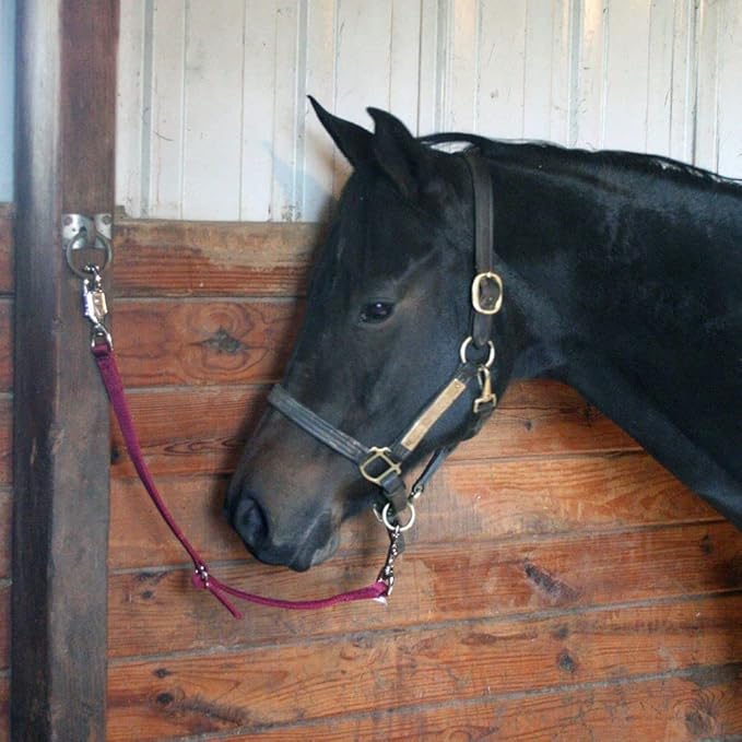 Dura-Tech Double Ply Adjustable Nylon Trailer Ties | Ideal for Multiple Tying Locations | Quick Release Panic Snap | Adjustable Length | Easy Attachment to Horse's Halter