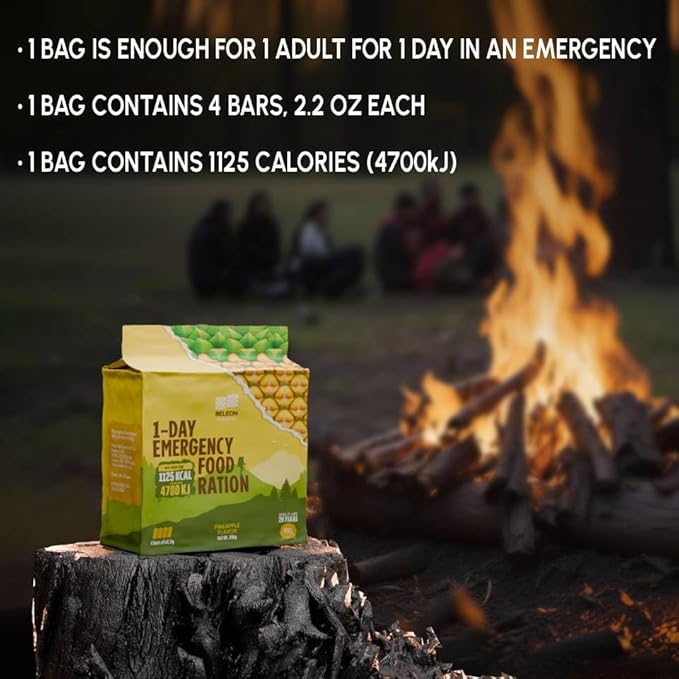 Emergency Food Supply - Pineapple Survival Ration - 20 Years Shelf Life - 1 Day