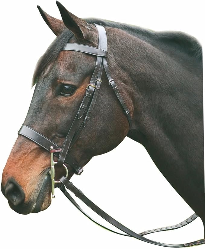 Henri de Rivel Pro Hunt Bridle