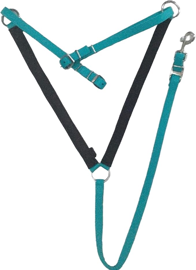 Majestic Ally Nylon Padded Equestrian Browband Headstall, Reins & BreastCollar Set for Horse- Full