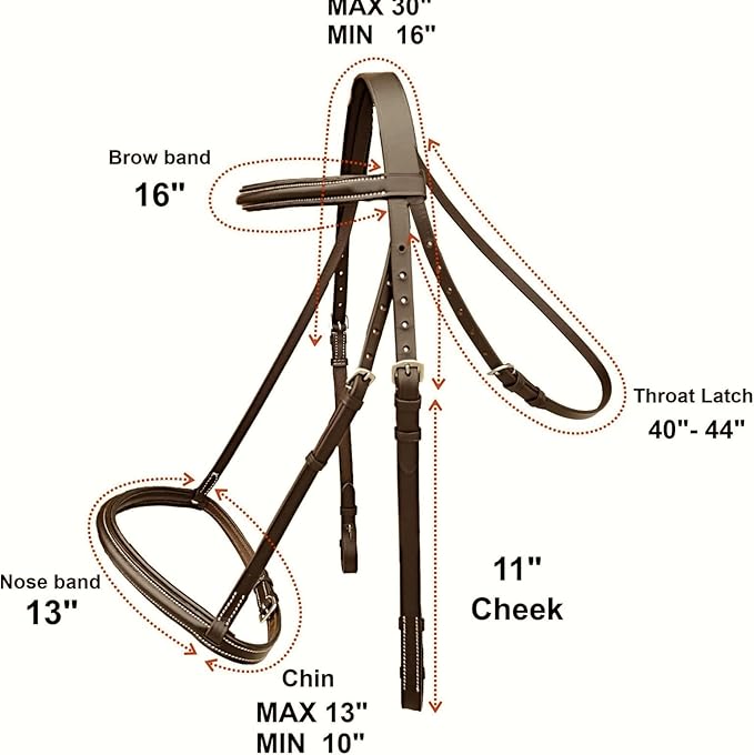 Majestic Ally Padded Raised English Bridle, Premium Leather, Matching Laced Reins