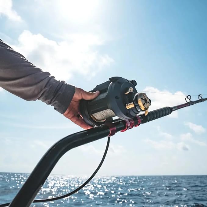 Daiwa Electric Reel Sea Power 800/1200 Various Types