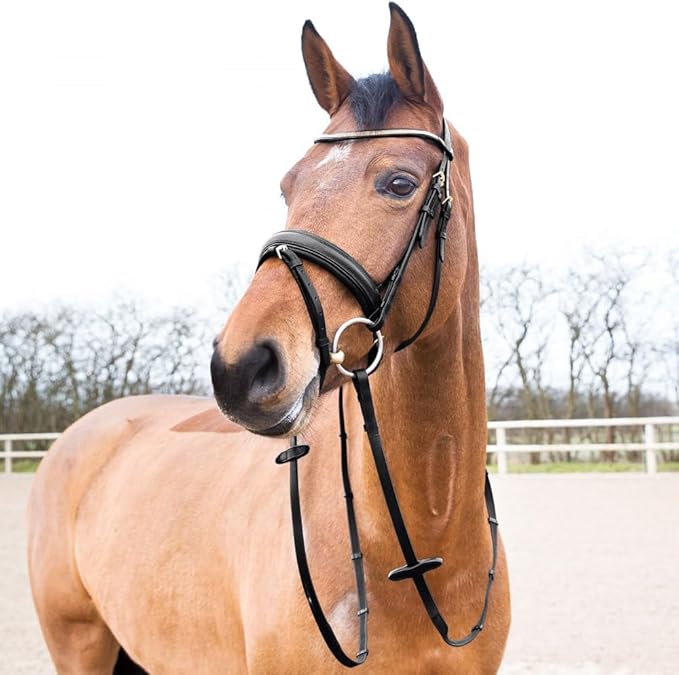 HORZE Lester Dressage Snaffle Bridle w/Reins