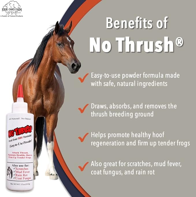 Four Oaks Farm Ventures, No Thrush Dry Powder Treatment for Horses - Wound Care, Scratches, Rain Rot, Mud Fever, Coat Issues - All Natural Ingredients, Non-caustic, Easy to Use Powder Formula (5.5 oz)