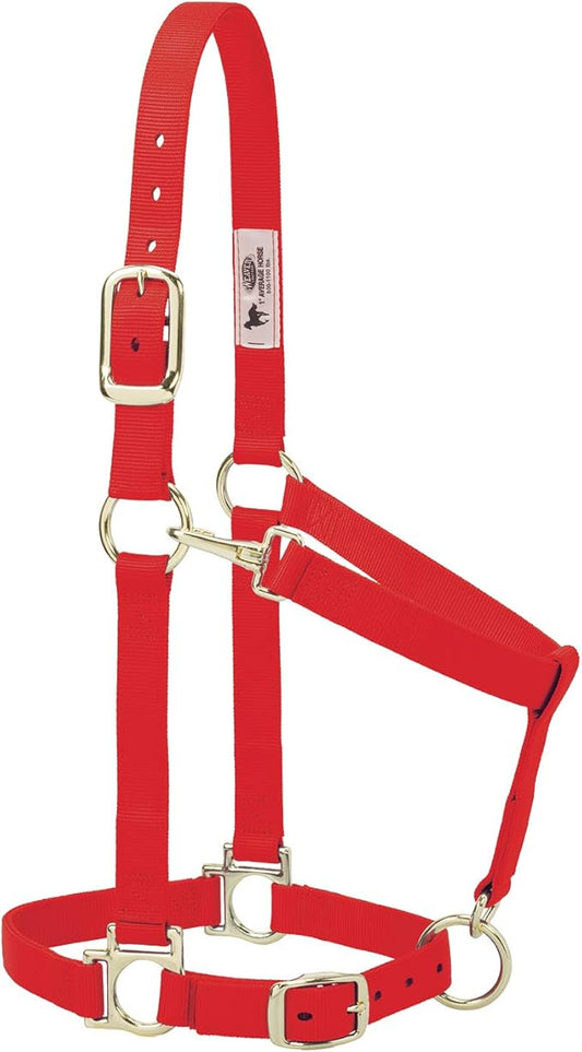 Weaver Leather Basic Adjustable Nylon Halter, Red, 1" Large Horse