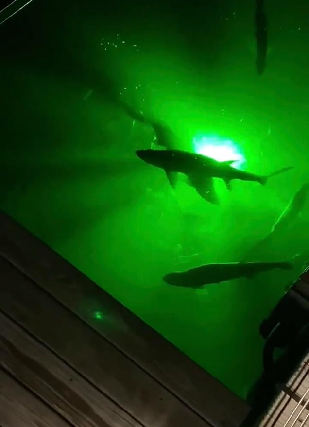 海水対応、セルフクリーニング、バーナクルバーナー水中魚ライト、明るいグリーン7,900ルーメン、シングルドックライト完全キット、50フィートランプケーブル、自動夕暮れから夜明けまで、簡単セルフ設置。