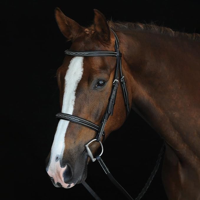Hunter Bridle - Fancy Stitch with Removable Flash – Anatomical Padded Crown, Classic Hunter Style