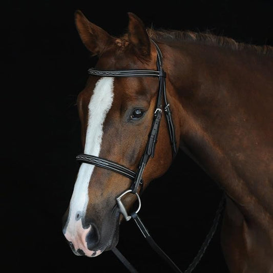 Hunter Bridle - Fancy Stitch with Removable Flash – Anatomical Padded Crown, Classic Hunter Style