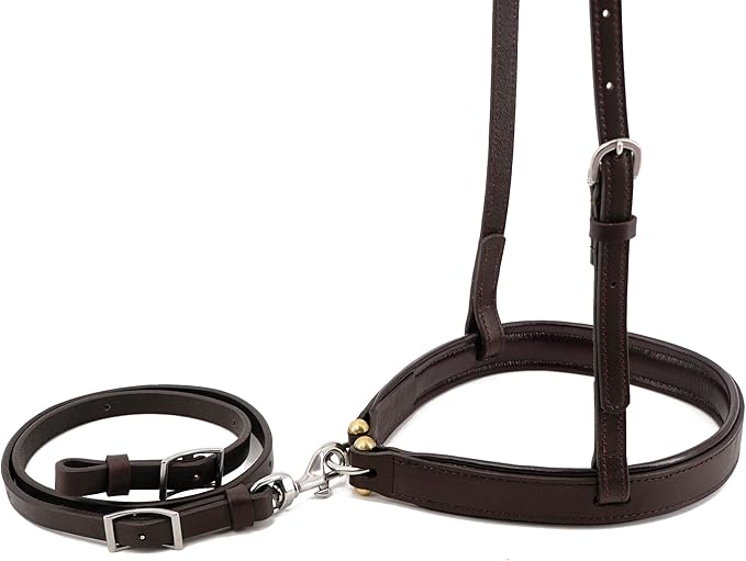 Jeereal Horse Noseband Soft Padded Round Nose Caveson with Leather Tie Down Strap, Efficient Training Aid | Premium Heavy Oiled Leather | Reinforced Stitching