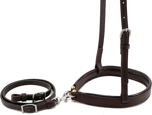 Jeereal Horse Noseband Soft Padded Round Nose Caveson with Leather Tie Down Strap, Efficient Training Aid | Premium Heavy Oiled Leather | Reinforced Stitching